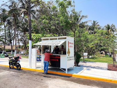 Cerrajería Floresta en Veracruz