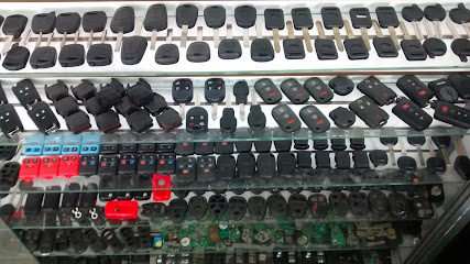 M.G. Autoprogramación en Torreón