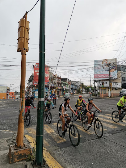 Martagon Cerrajero Profesional en Xalapa